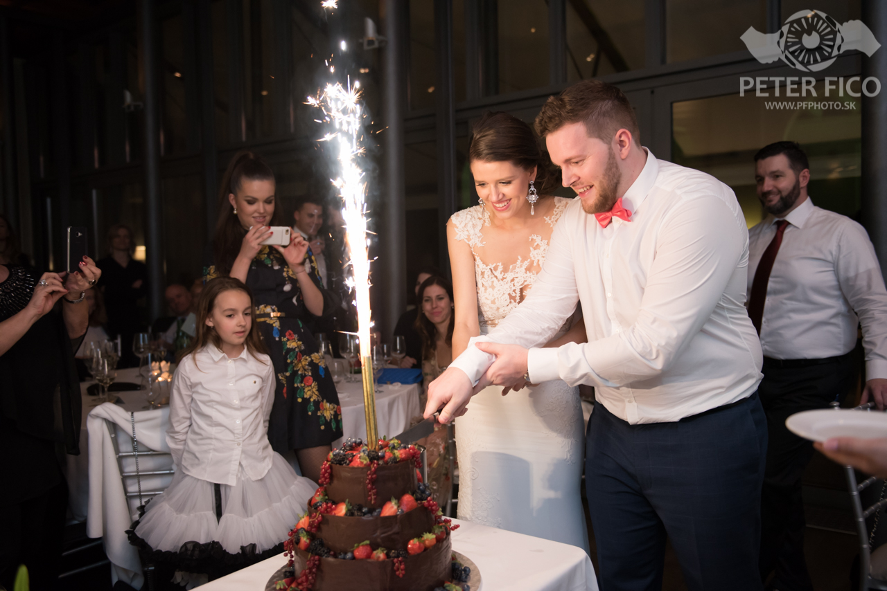 Krásne svadobné fotky s Bratislave. Peter Fico svadobný fotograf